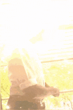 a picture of a man sitting in a chair with the words tea dance below him