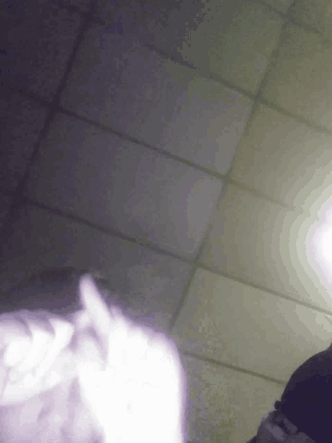 a person 's head is visible in a blurry photo against a ceiling