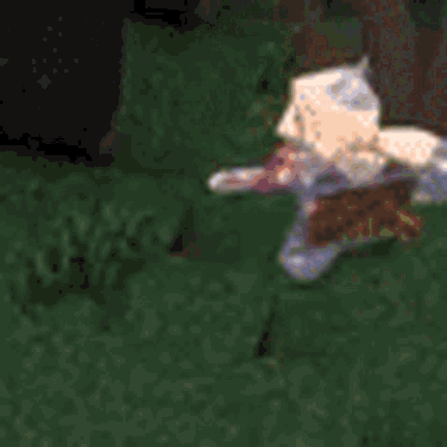 a blurred image of a person standing in the grass in a minecraft game .