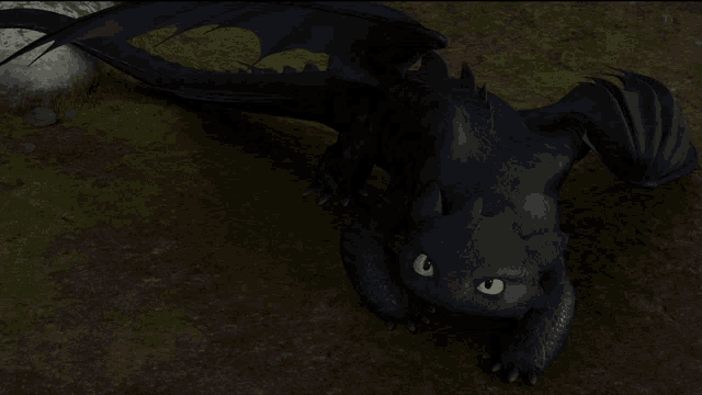 toothless from how to train your dragon is laying down on the ground