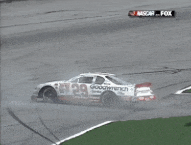 a nascar race car with the number 29 on the side