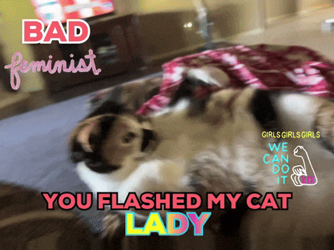 a cat is laying on a bed with the words bad feminist you flashed my cat lady above it