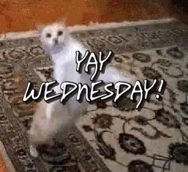 Yay Wednesday GIF - Yay Wednesday Yay Wednesday GIFs