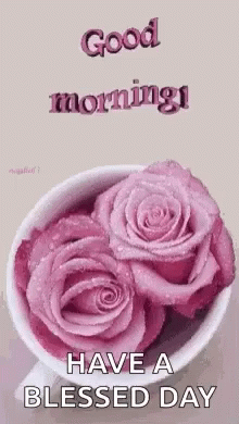 Good Morning Have A Blessed Day GIF - Good Morning Have A Blessed Day Pink Roses GIFs