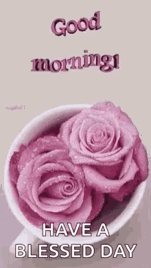 a cup of pink roses with the words `` good morning have a blessed day '' .