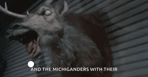 a stuffed deer head is hanging on a wall with the words and the michiganers with their written underneath it .
