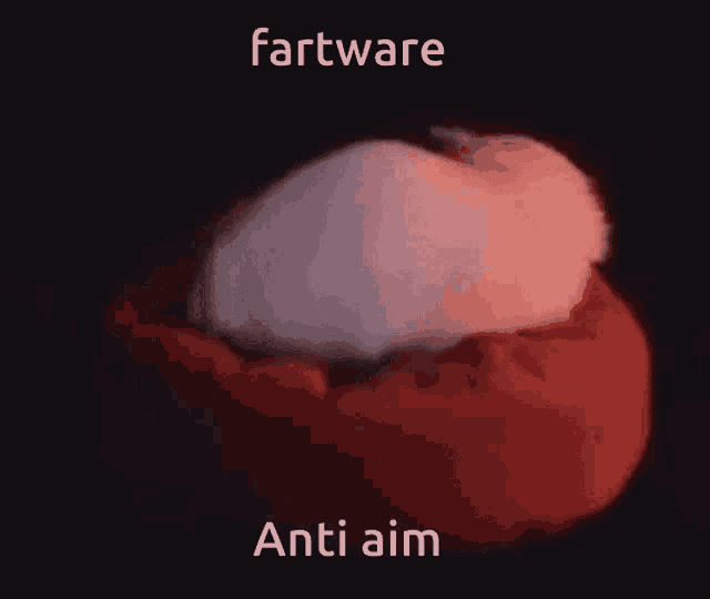 Fartware Anti Aim GIF - Fartware Anti Aim Pfpwner GIFs