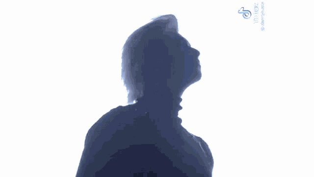 a silhouette of a man standing in front of a cloudy sky .