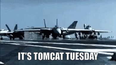 Navy F-14 GIF - Navy F-14 Tomcat GIFs