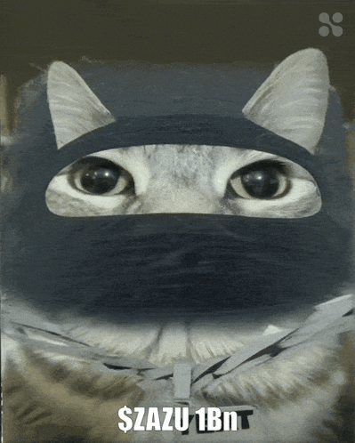 a cat wearing a black mask with the words $razu1bn written on it