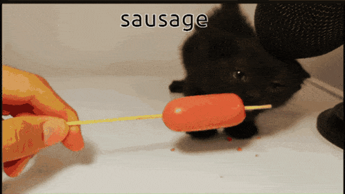 a person is holding a stick with a sausage on it
