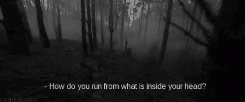 Dark Woods Run GIF - Dark Woods Run Inside Your Heart GIFs