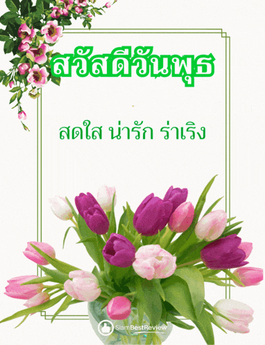 a bouquet of pink and purple flowers in front of a green frame with the words siambestreview on it