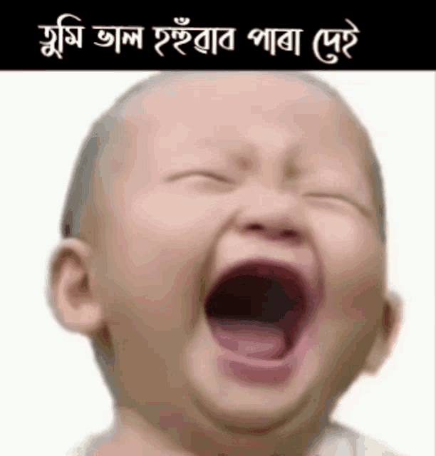 Laughing Assamese GIF