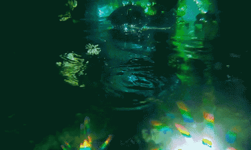 a rainbow of colors is reflected in a dark water