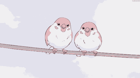 two pink and white birds perched on a wire against a blue sky