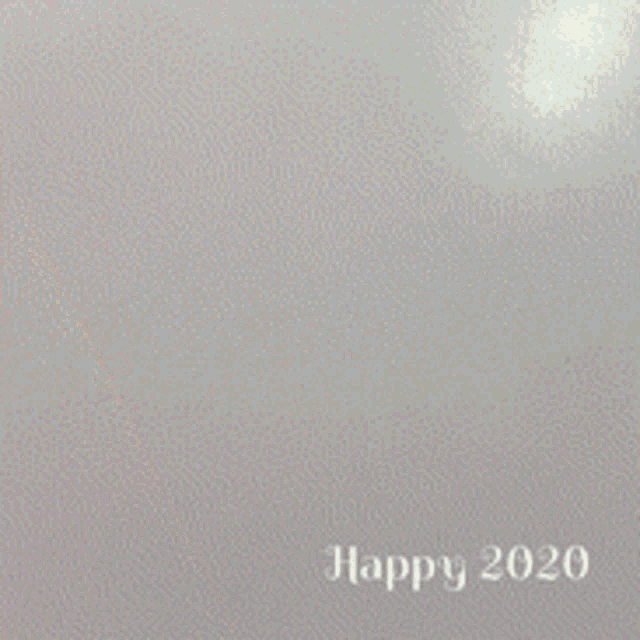 2020 New GIF - 2020 New Year GIFs