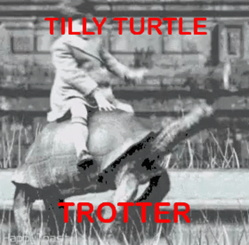 Turtle Tilly Turtle Trotter GIF - Turtle Tilly Turtle Trotter Back Ride GIFs
