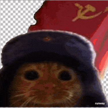 a picture of a cat wearing a hat with the word runway on the bottom right