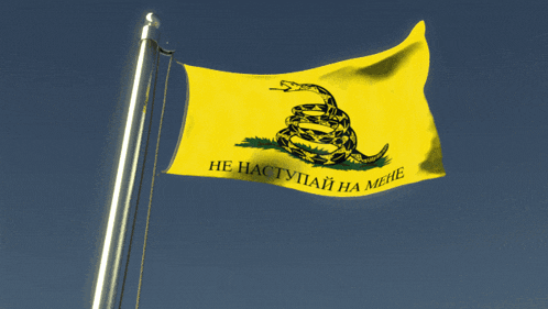 a yellow flag with a snake and the words " he hactupai ha mene "