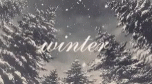 Cold Outside Winter GIF - Cold Outside Winter Snowing GIFs
