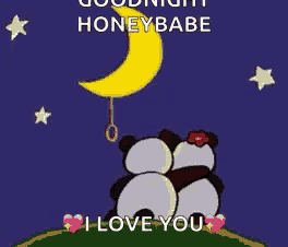 a couple of panda bears hugging under a crescent moon with the words goodnight honeybabe i love you