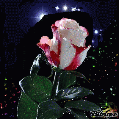 Rose Flowers GIF - Rose Flowers Glitter GIFs