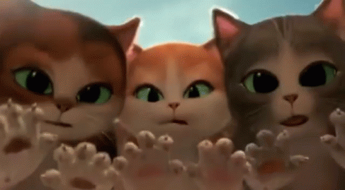 Shock Cat GIF - Shock Cat Puss In Boots GIFs