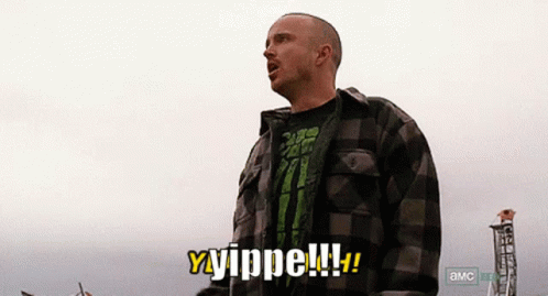Jesse Pinkman Jesse GIF - Jesse Pinkman Jesse Yippee GIFs