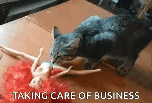 a cat is playing with a barbie doll on a table with the words taking care of business below it