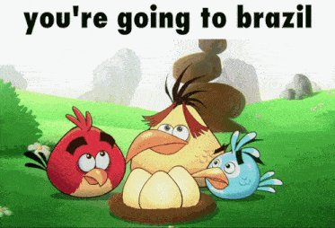 a cartoon of angry birds with the words " you 're going to brazil "