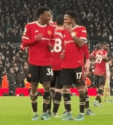 Manchester United GIF - Manchester United Funny GIFs