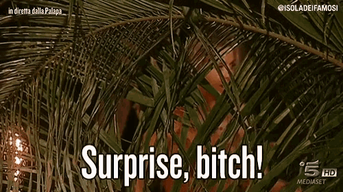 Surprise Bitch Isola Dei Famosi GIF - Surprise Bitch Isola Dei Famosi Isola13 GIFs