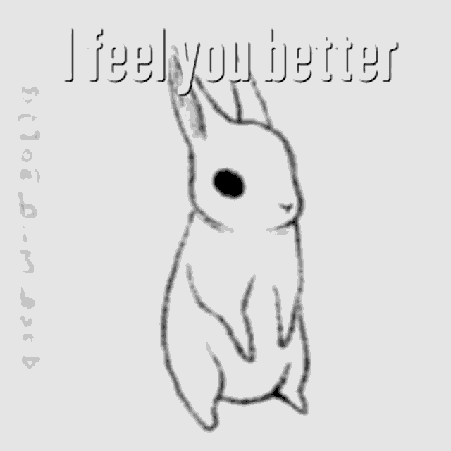 a black and white drawing of two rabbits with the words " i feel you better " above them