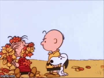 Charlie Brown Mad GIF - Charlie Brown Mad Snoopy GIFs