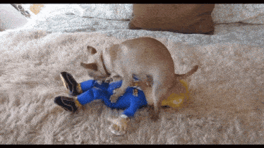 a dog laying on top of a stuffed toy that says ' fireman ' on it