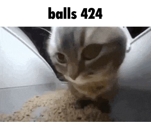 a close up of a cat eating food with the words balls 424 written above it