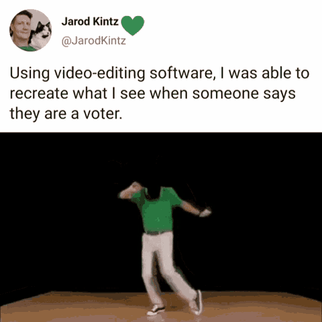 Politics Vote GIF