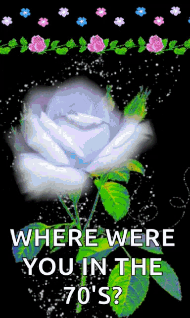 a white rose with green leaves on a black background with the words where were you in the 70 's written below it