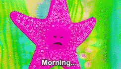 Starfish Morning GIF - Starfish Morning GIFs