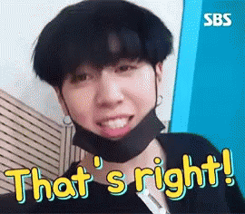 Sbs Thats Right GIF - Sbs Thats Right GIFs