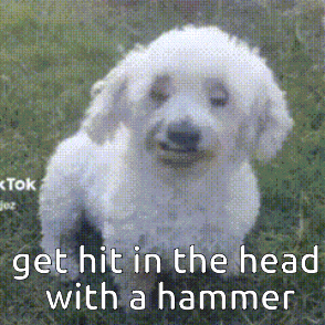a small white dog is standing in the grass with the words `` get hit in the head with a hammer '' .