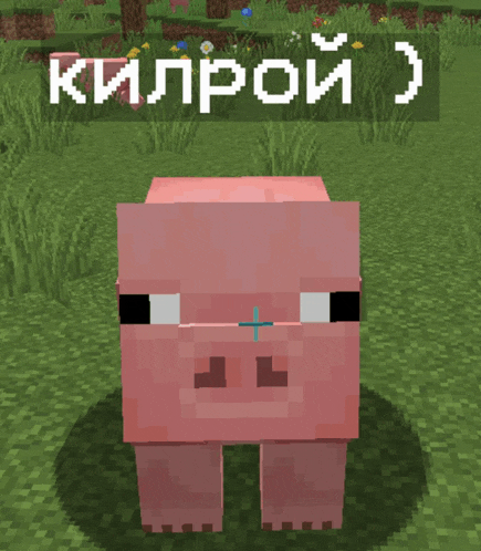 a minecraft pig is standing in a field with a sign above it that says killroy