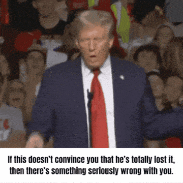 Trump Meme Vote2024 GIF