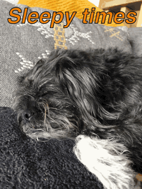a picture of a dog sleeping with the words sleepy times below it