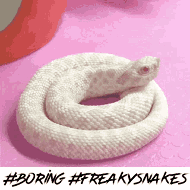Freaky Snakes GIF - Freaky Snakes GIFs