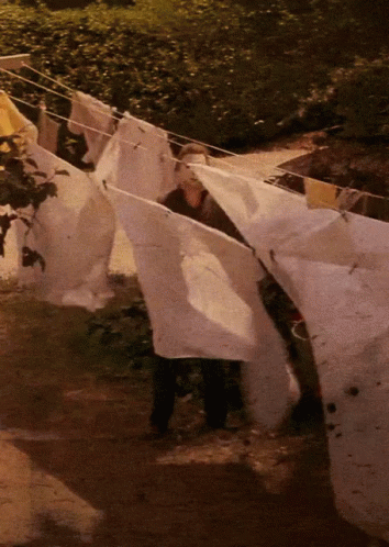 Michael Myers GIF - Michael Myers Halloween1978 Laundry GIFs