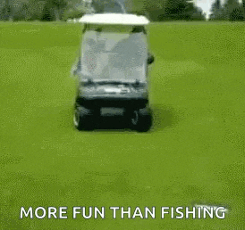 a dog is riding in a golf cart on a grassy field .