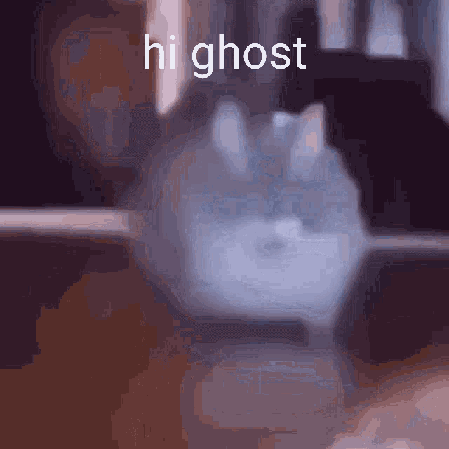 Ghost Low Quality GIF - Ghost Low Quality Cat GIFs