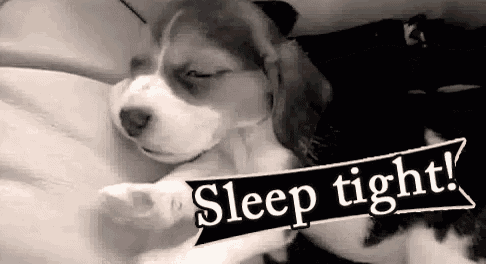 a black and white photo of a puppy sleeping on a bed with a sign that says sleep tight .